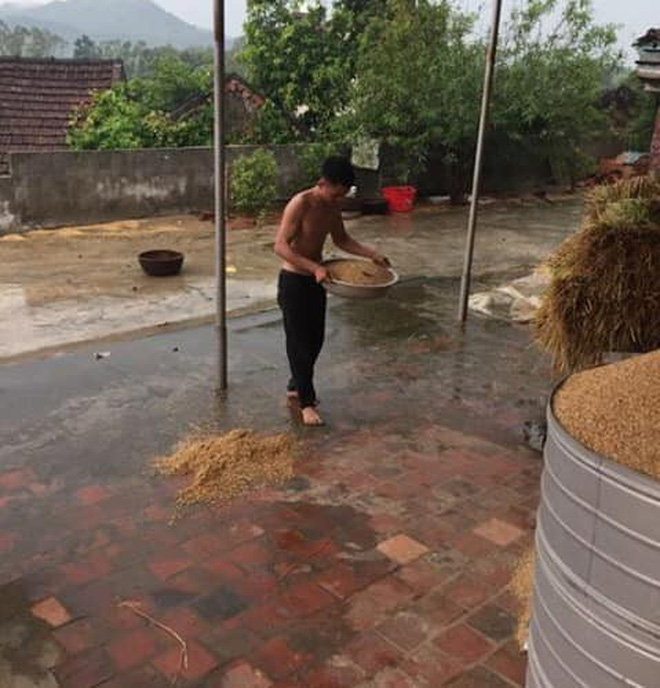 Nỗi cực chạy thóc của người nông dân những ngày mưa nắng thất thường: Chậm chân cái là cả sân thóc ngập trong nước