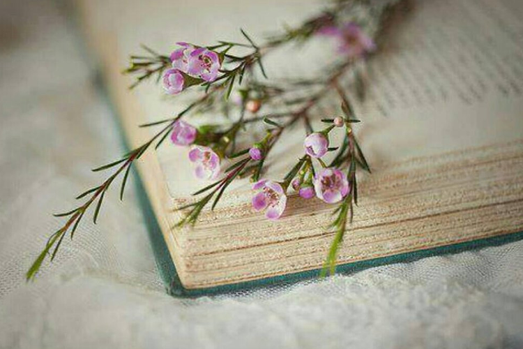 Tử vi 12 con giáp hôm nay (1/5/2019): Thân - Hợi đón tài lộc, Dậu đề phòng tiền bạc