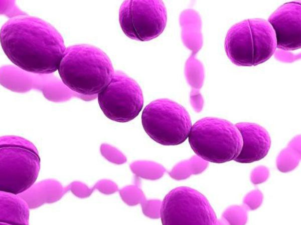 Bị nhiễm trùng huyết nhưng dường như không có dấu hiệu cảnh báo, bé gái 13 tuổi tử vong đáng tiếc