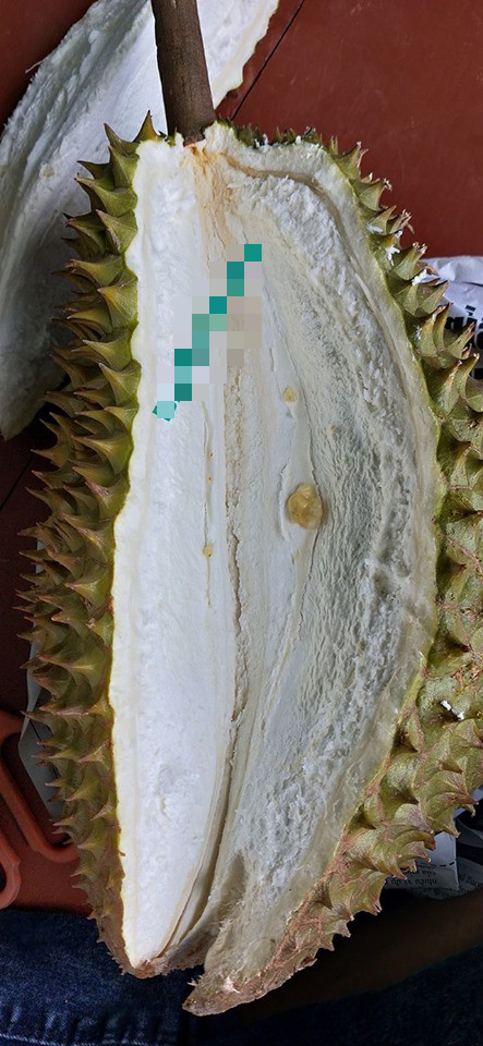 Mới từ nước ngoài về đã lên cơn thèm sầu, cô nàng mạnh tay mua ngay 3 quả lép hạt như lời quảng cáo không ngờ còn lép luôn cả múi