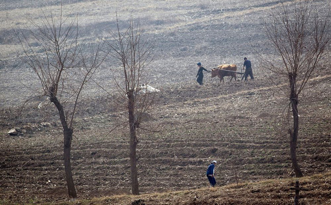 10 triệu người Triều Tiên đối mặt nạn đói sau vụ mùa thất bát