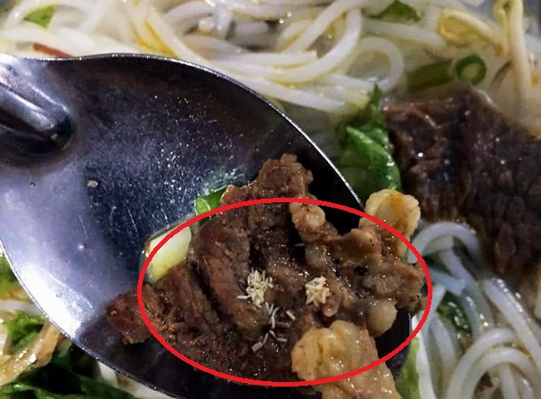 Nghệ An: Công nhân tá hỏa khi phát hiện cả ổ giòi trong miếng thịt