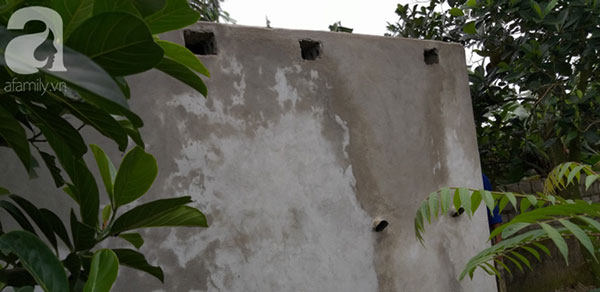 Cận cảnh chiếc chuồng của người bố nhốt con trai như vật nuôi, đầy ruồi muỗi và hôi thối được bạn bè giải cứu ở Hưng Yên