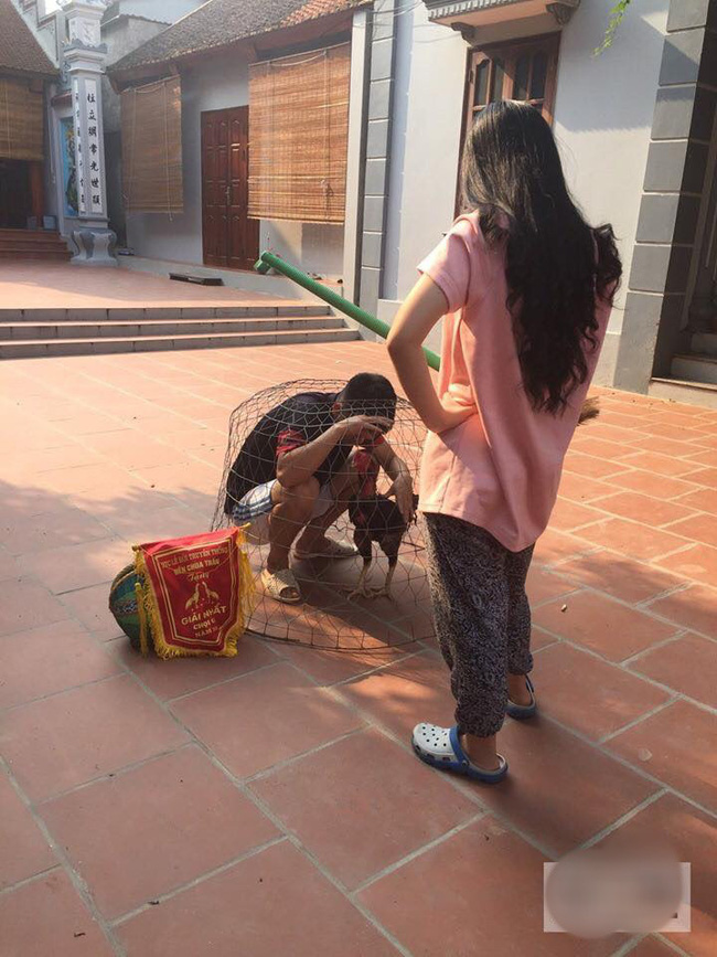 Lấy thưởng cũng chẳng vui: Trèo tường trốn nhà đi chơi, chồng trẻ bị nhốt chung với gà và đánh cho vêu mồm