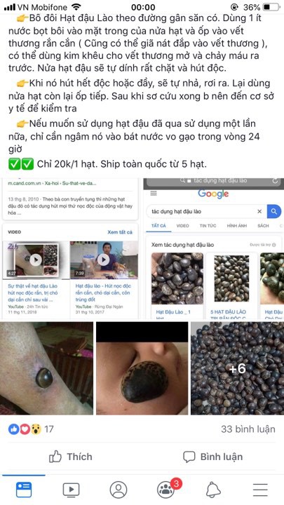 Hạt đậu Lào được dân mạng đồn thổi thần kì, chữa bách bệnh: Sự thật được chuyên gia tiết lộ sẽ khiến bạn ngã ngửa Hạt đậu Lào được dân mạng đồn thổi thần kì, chữa bách bệnh: Sự thật được chuyên gia tiết lộ sẽ khiến bạn ngã ngửa