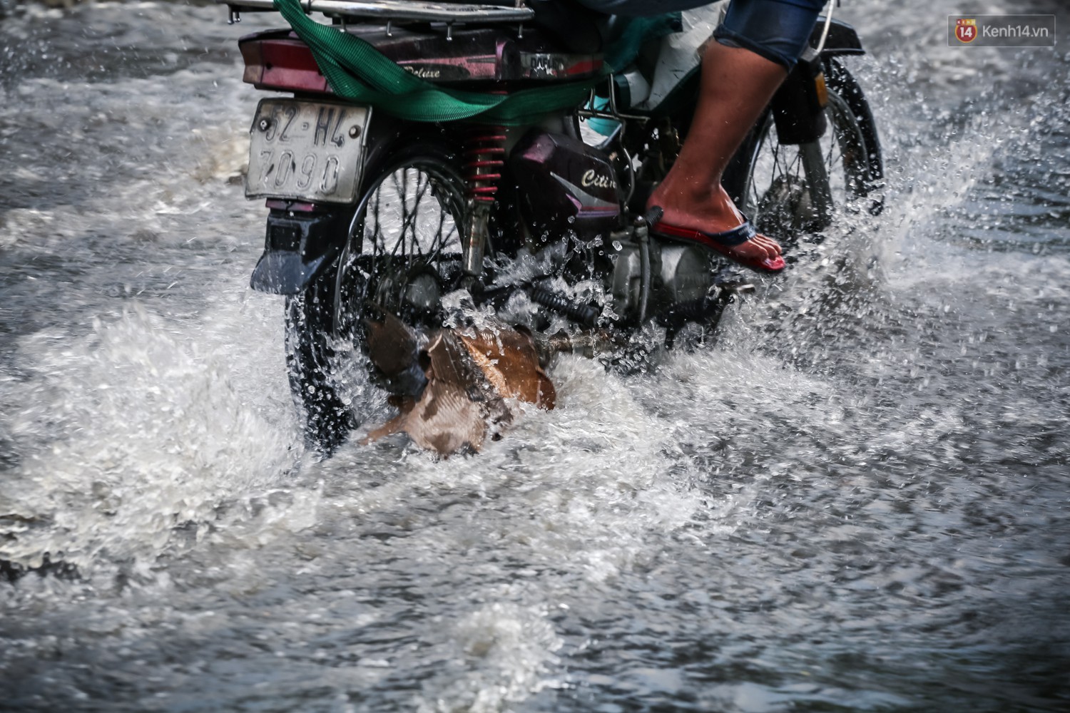 Ảnh: Đường phố Sài Gòn ngập nặng sau cơn mưa, nhiều người đi xe máy suýt té ngã trước đầu ô tô