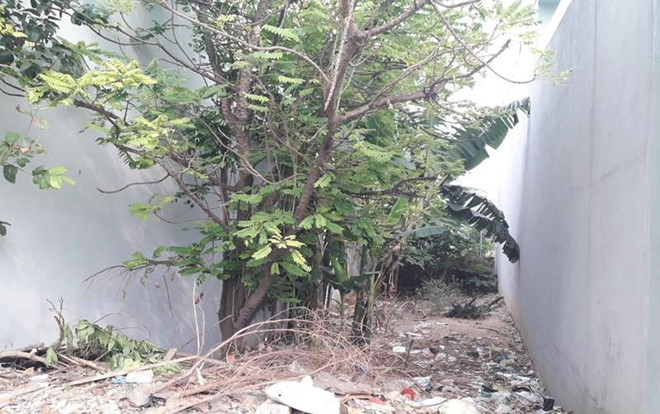 4 người trộm vịt thoát tội, gia chủ bị truy tố