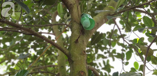 Tâm sự của người cha nhốt con trai như vật nuôi trong chuồng đầy ruồi muỗi: Cái gì đưa vào nó cũng đập phá, ai mà không thương con