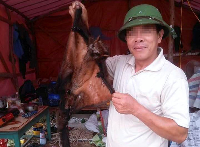 Chụp hình giết thịt chồn bay rồi đăng lên Facebook