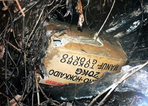 Cái chết bí ẩn của bé gái bị bọc 9 lớp nilon ở Singapore