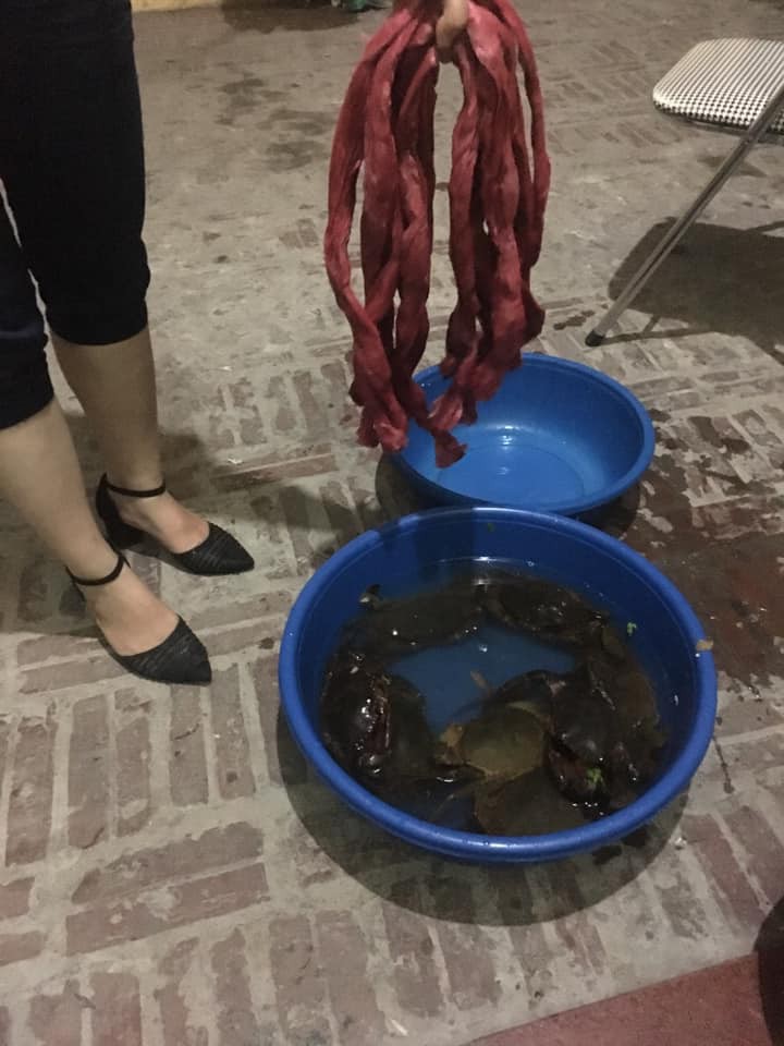 Khóc dở mếu dở vì mua 2kg cua mà tới 1,2 kg là dây, lên than vãn trên MXH thì bị chị em bảo tự làm tự chịu Khóc dở mếu dở vì mua 2kg cua mà tới 1,2 kg là dây, lên than vãn trên MXH thì bị chị em bảo tự làm tự chịu