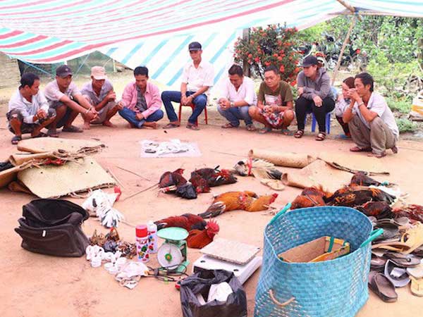 Triệt xóa tụ điểm đá gà quy mô lớn, thu giữ hơn 100 trăm triệu đồng