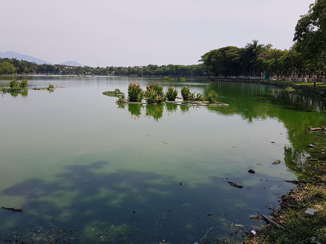 Nước thải đen ngòm chảy thẳng vào công viên lớn nhất Đà Nẵng