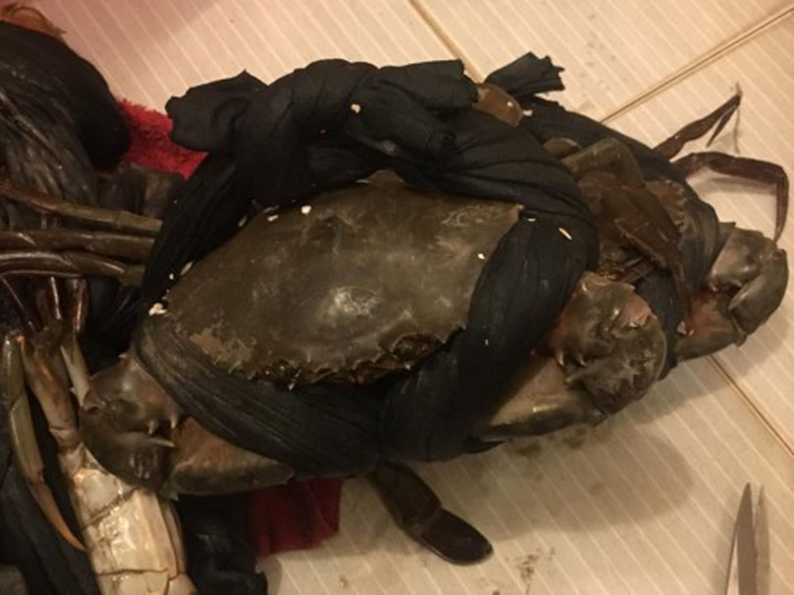 Mua 2,5kg cua khuyến mãi 1,9 kg dây vải: Thanh niên khóc ròng