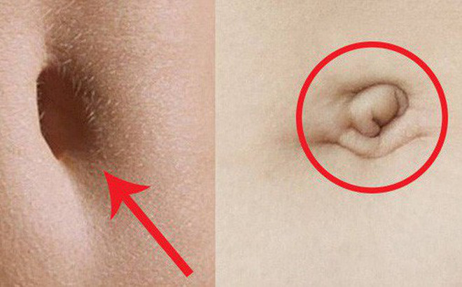 Thầy xem tướng tiết lộ: Nhìn rốn 3 giây biết ngay số phận sang hèn, không cần tốn tiền đi xem bói