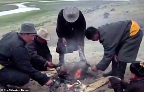 Khách Tây không dám ra đường vì lo dịch hạch bùng phát ở Mông Cổ