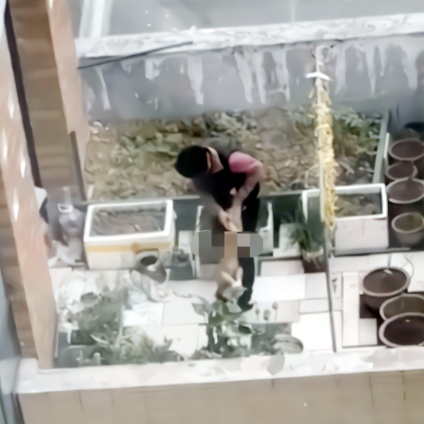 Bé trai 4 tuổi bị lột quần áo, trói tay, dốc ngược đầu xuống đất gây phẫn nộ