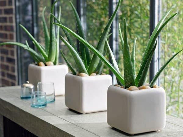 5 lỗi sai phong thủy khiến cả nhà nghèo mạt kiếp, làm như trâu mà không khá lên được