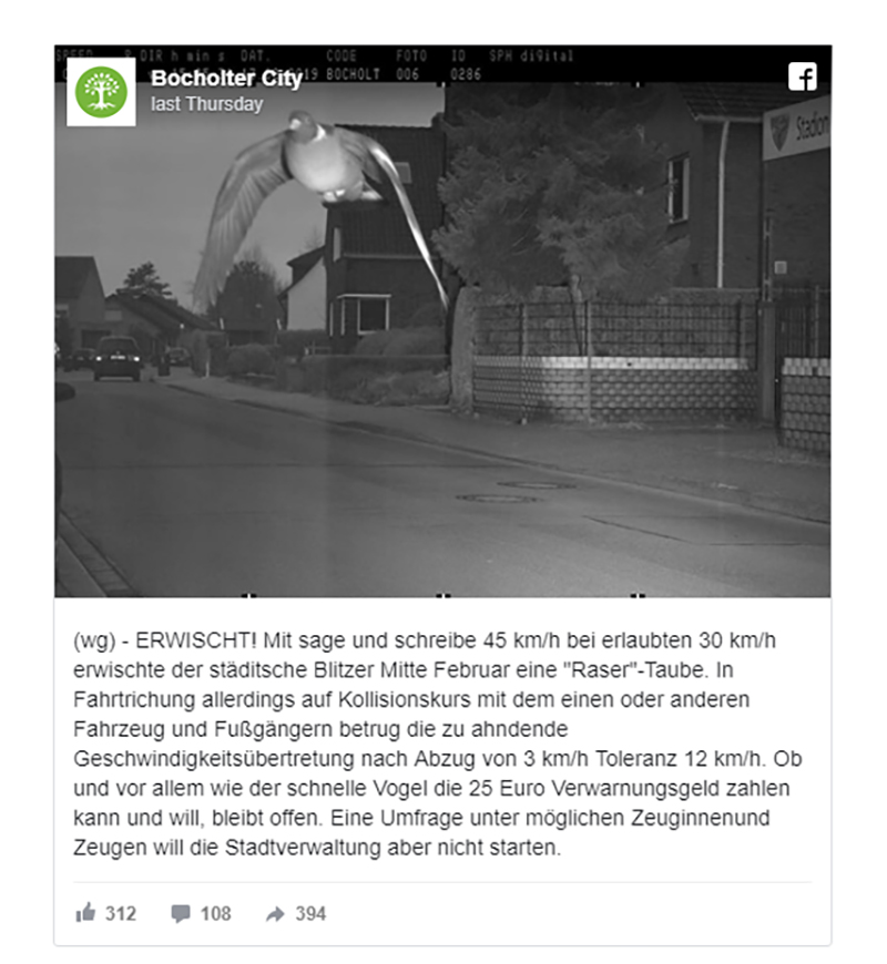 Bay vèo qua camera bắn tốc độ, chim bồ câu Đức bị phạt nguội 650.000 đồng