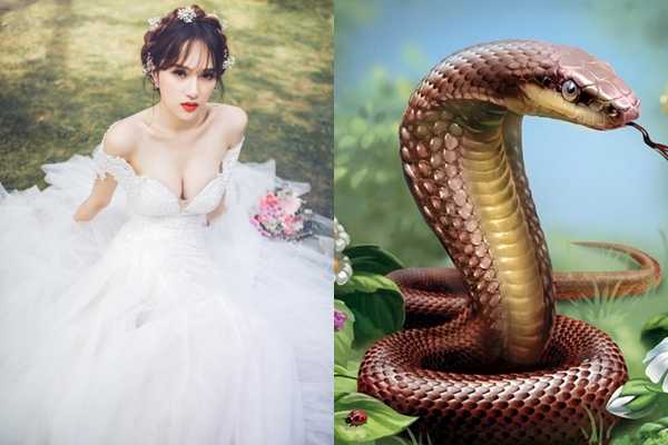 Thông minh xinh đẹp nhưng chỉ khi lấy chồng thì 4 con giáp này mới có cuộc sống viên mãn, hạnh phúc giàu sang