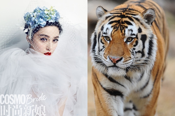 Thông minh xinh đẹp nhưng chỉ khi lấy chồng thì 4 con giáp này mới có cuộc sống viên mãn, hạnh phúc giàu sang