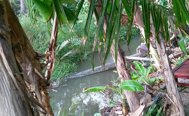 Chưa có nhà máy xử lý, nước thải đen ngòm chảy ào ào ra biển Phú Quốc