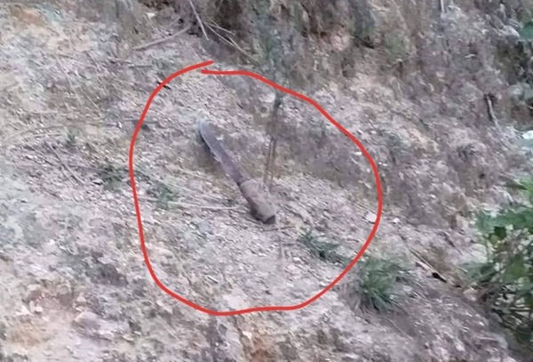 Lời khai lạnh lùng ‘thích thì giết thôi’ của nghi phạm sát hại người phụ nữ đơn thân lúc rạng sáng