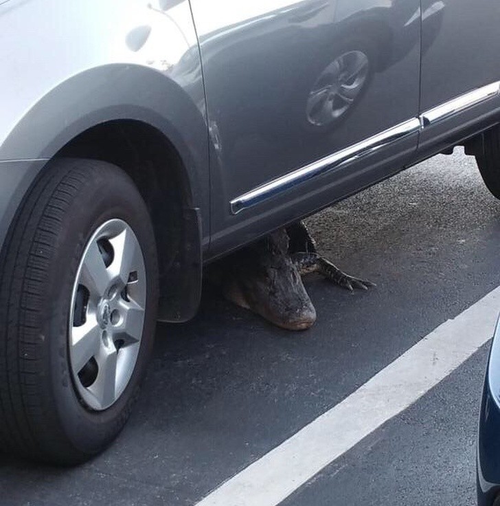 18 bức ảnh càng nhìn càng thấy sợ khiến bạn không khỏi rùng mình