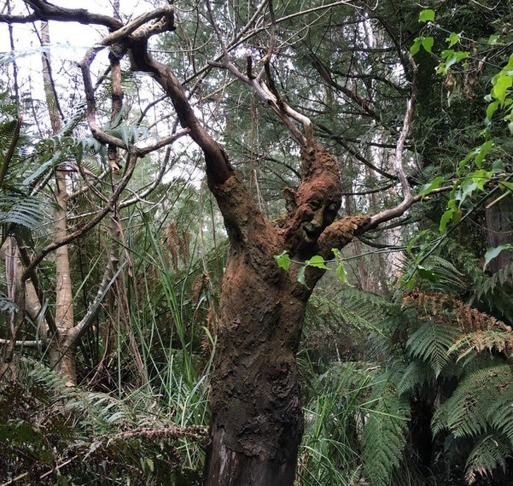 18 bức ảnh càng nhìn càng thấy sợ khiến bạn không khỏi rùng mình