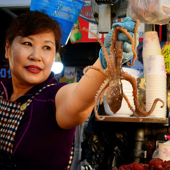 Livestream cảnh ăn bạch tuộc sống, cô gái xinh đẹp suýt bị đối phương nuốt chửng và sự thật kinh hoàng về món ăn này Livestream cảnh ăn bạch tuộc sống, cô gái xinh đẹp suýt bị đối phương nuốt chửng và sự thật kinh hoàng về món ăn này