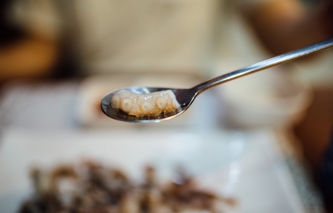 Livestream cảnh ăn bạch tuộc sống, cô gái xinh đẹp suýt bị đối phương nuốt chửng và sự thật kinh hoàng về món ăn này Livestream cảnh ăn bạch tuộc sống, cô gái xinh đẹp suýt bị đối phương nuốt chửng và sự thật kinh hoàng về món ăn này