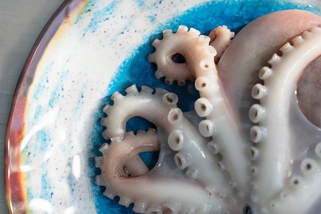 Livestream cảnh ăn bạch tuộc sống, cô gái xinh đẹp suýt bị đối phương nuốt chửng và sự thật kinh hoàng về món ăn này Livestream cảnh ăn bạch tuộc sống, cô gái xinh đẹp suýt bị đối phương nuốt chửng và sự thật kinh hoàng về món ăn này