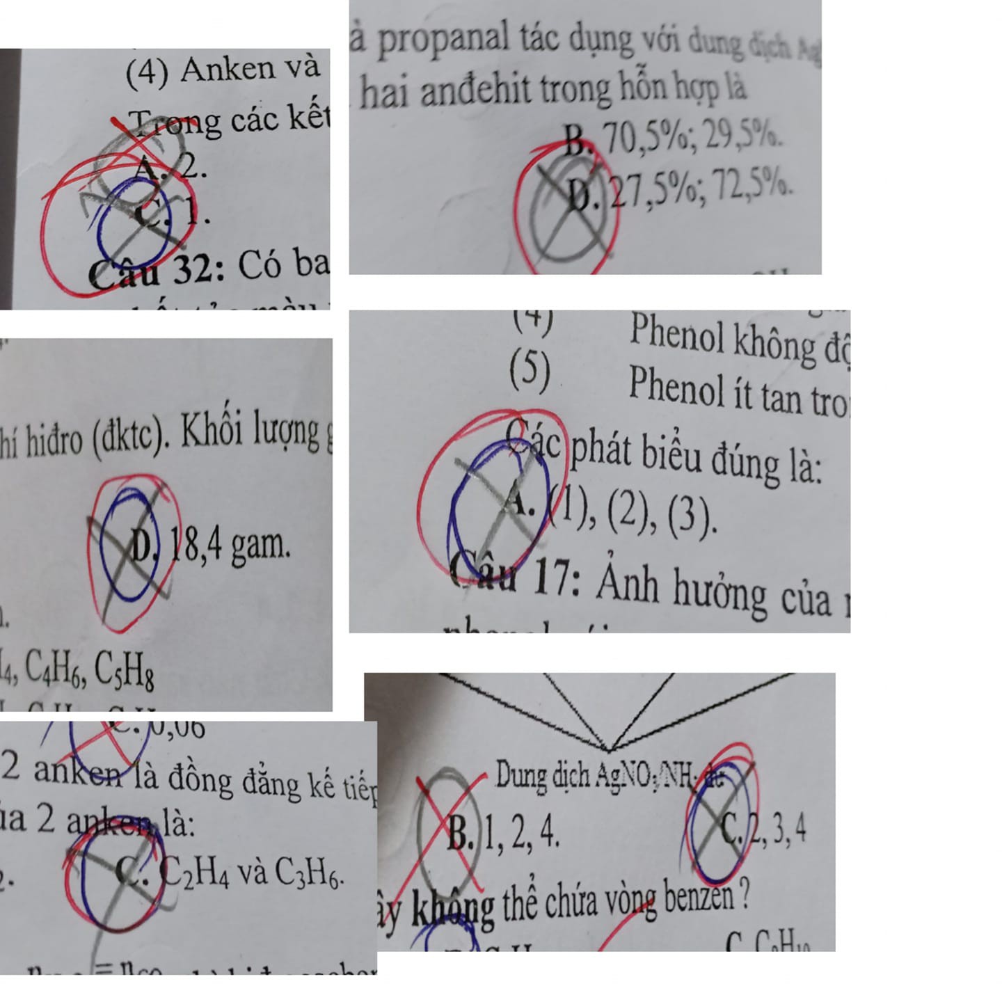 Bức ảnh nói lên nỗi lòng của hội học sinh không có chính kiến: Thi trắc nghiệm chọn tới chọn lui cuối cùng đáp án đúng lại là lần khoanh đầu tiên