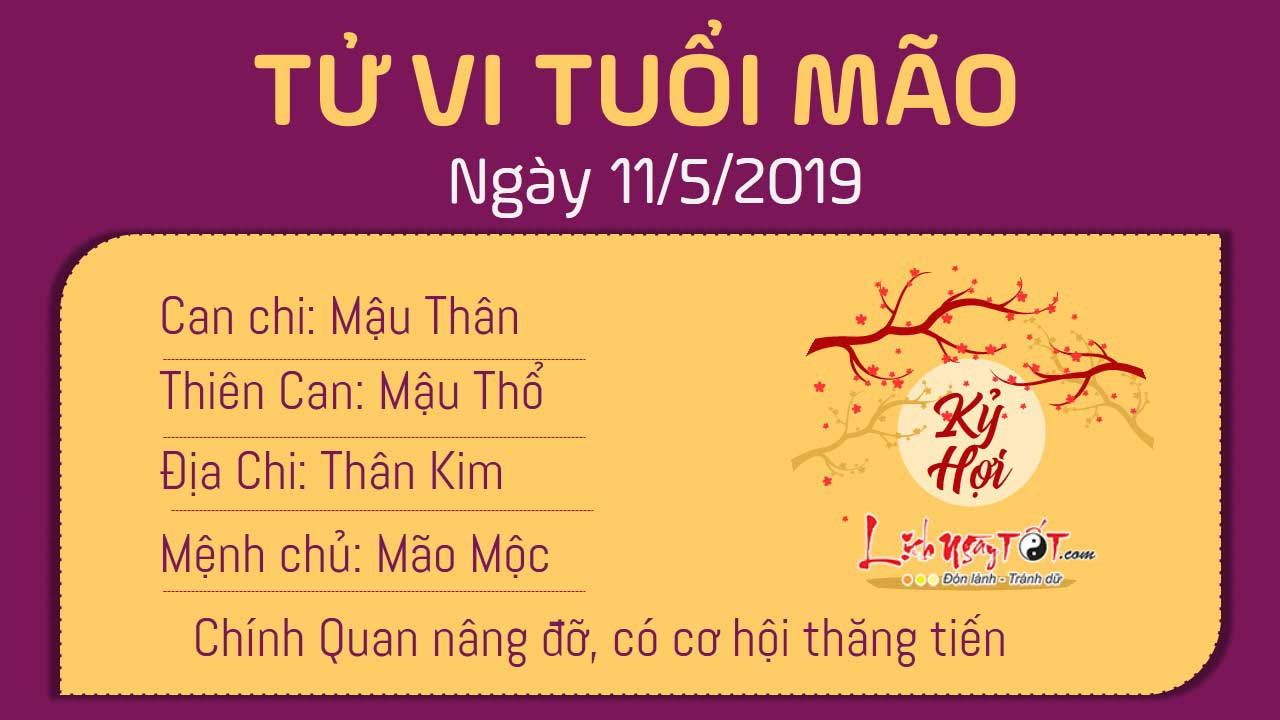 Tử vi thứ 7 ngày 11/5/2019 của 12 con giáp: Mùi đào hoa vượng vận, Hợi gặp tiểu tam