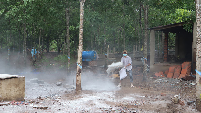 Đề xuất huy động cả công an, quân đội dập dịch tả lợn châu Phi