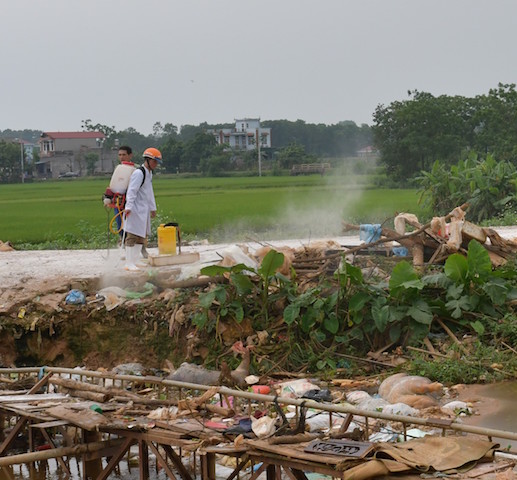 Đề xuất huy động cả công an, quân đội dập dịch tả lợn châu Phi