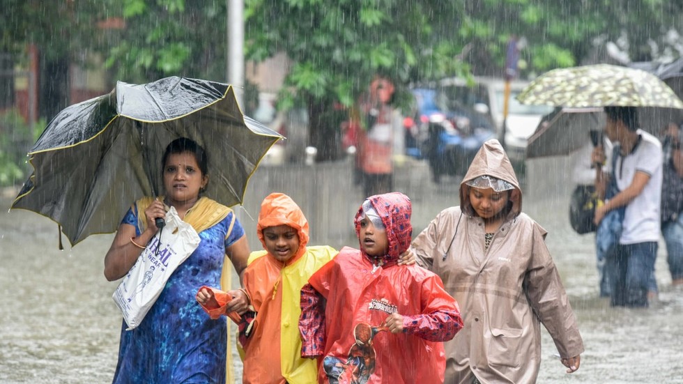 Phát hiện virus khổng lồ bên dưới thành phố Ấn Độ, biết chép gene của vật chủ