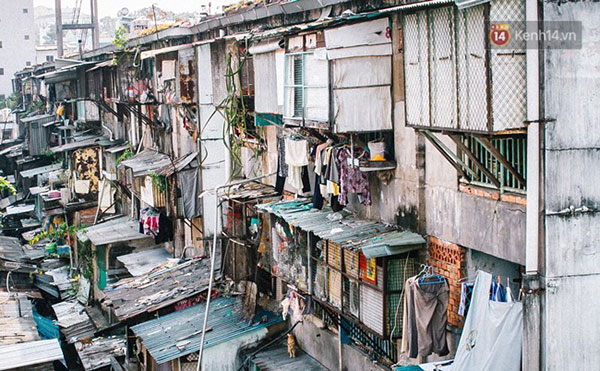 Bị nhiễm trùng máu và suy thận nặng, cô gái 26 tuổi rơi vào tình trạng nguy kịch, cộng đồng kêu gọi giúp đỡ