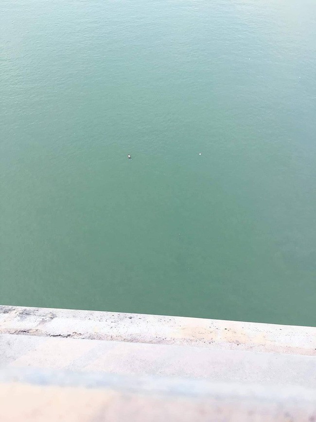 Cô gái trẻ để lại thư tuyệt mệnh, xin lỗi gia đình rồi nhảy cầu Bãi Cháy tự tử