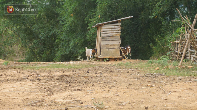 Bản làng nơi những ông trùm ma túy gieo rắc cái chết trắng: Cha mẹ chết vì HIV, con trẻ mồ côi sống lay lắt từng ngày