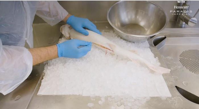 2,5 tỷ đồng/kg - cái giá siêu khủng mà giới thượng lưu phải bỏ ra nếu muốn thưởng thức trứng của loài cá này 2,5 tỷ đồng/kg - cái giá siêu khủng mà giới thượng lưu phải bỏ ra nếu muốn thưởng thức trứng của loài cá này