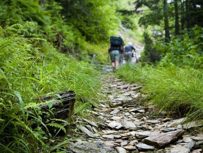 Bị kẻ giết người truy đuổi, người phụ nữ giả chết trong rừng để thoát hiểm