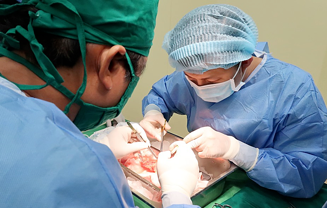 Em trai hiến một quả thận ghép cho chị gái