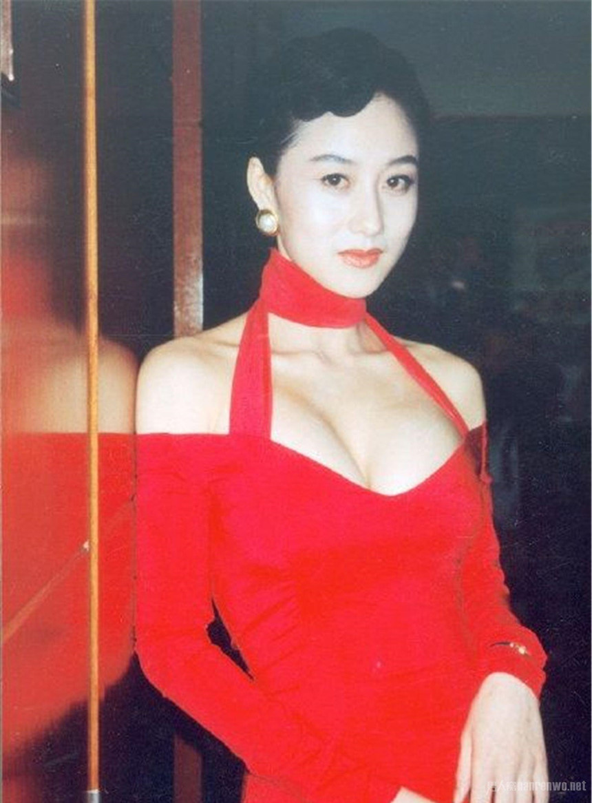 Vợ Lý Liên Kiệt - từ biểu tượng sex thành hoa hậu bí ẩn nhất showbiz Vợ Lý Liên Kiệt - từ biểu tượng sex thành hoa hậu bí ẩn nhất showbiz