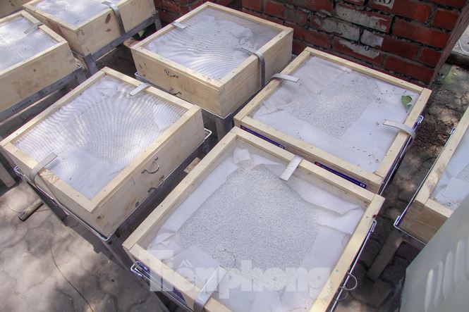 Hà Nội bắt đầu làm sạch sông Tô Lịch bằng bảo bối của Nhật