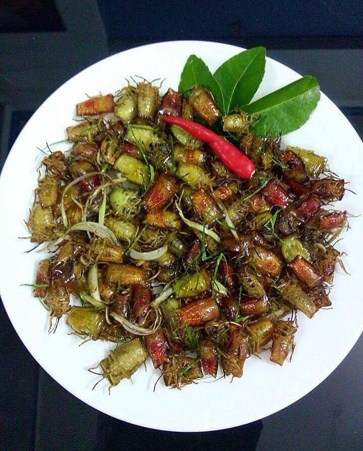 Bọ xít non mùi hôi đáng sợ: Đắt hơn bò Mỹ, rang ăn cả cân