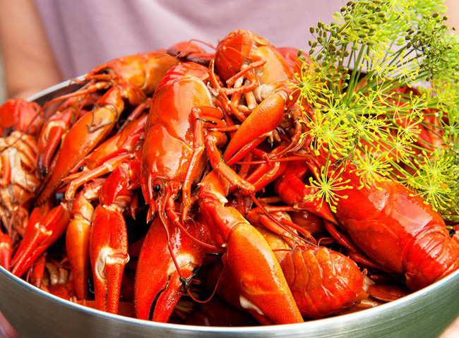 Ăn tôm hùm đất cũng giống như ăn ốc bươu vàng cần phải được kiểm định an toàn trước