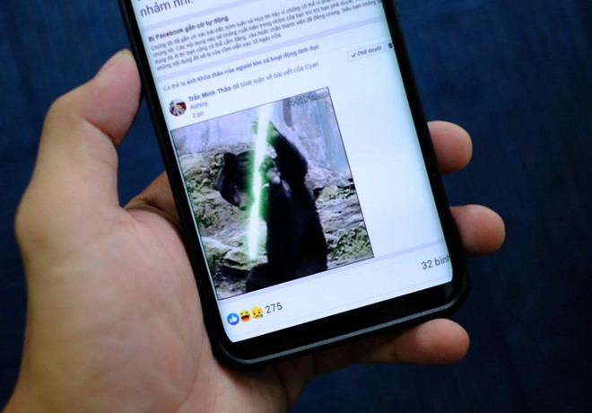 Cơn bão report đang đe dọa đánh sập hàng ngàn group Facebook