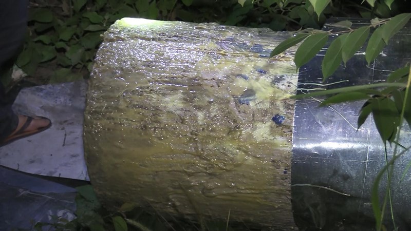 Vụ 2 thi thể trong thùng nhựa: Màn phi tang rùng rợn của hung thủ với bê tông, silicon và trà ướp xác