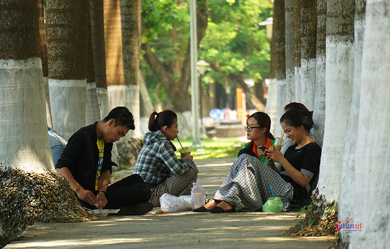 Nắng gắt hơn 40 độ, dân Đà Nẵng chui gầm cầu ăn ngủ